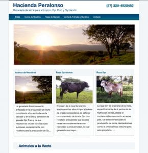 home page picture of peralonso.co